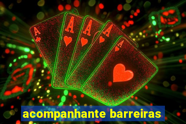 acompanhante barreiras